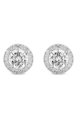 LIGHTBOX 2.54-Carat Lab Grown Diamond Halo Stud Earrings in White/14K White Gold