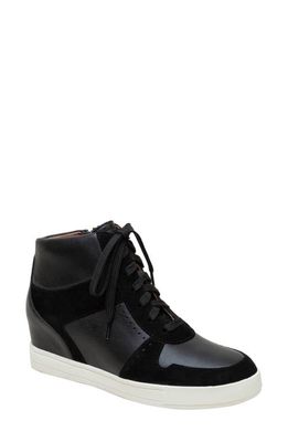 Linea Paolo Andres Mixed Media High Top Sneaker in Black