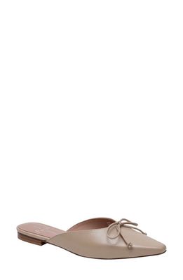 Linea Paolo Aylin Mule in Nude at Nordstrom, Size 10