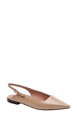 Linea Paolo Caia Pointed Toe Slingback Flat in Maple Sugar