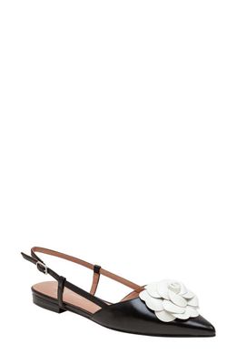 Linea Paolo Cammy Slingback Pointed Toe Flat in Black/Eggshell