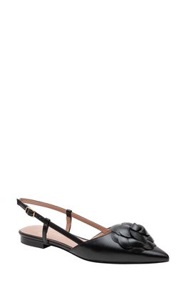 Linea Paolo Cammy Slingback Pointed Toe Flat in Black