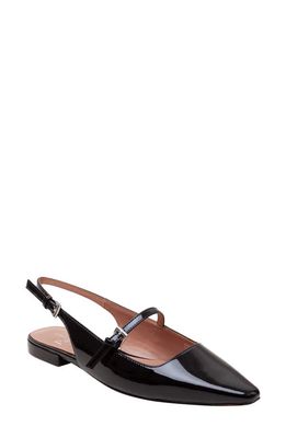 Linea Paolo Celeste Slingback Pointed Toe Flat in Black at Nordstrom, Size 8.5