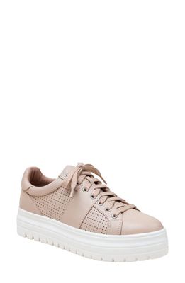 Linea Paolo Jett Platform Sneaker in Blush Pink