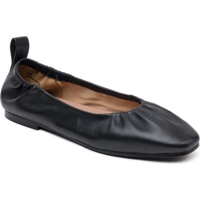 Linea Paolo Newry Ballet Flat in Black at Nordstrom, Size 11