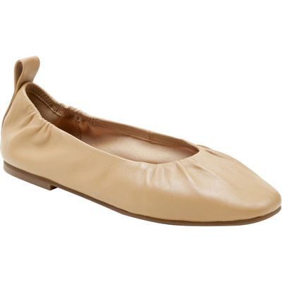 Linea Paolo Newry Ballet Flat in Desert at Nordstrom, Size 12