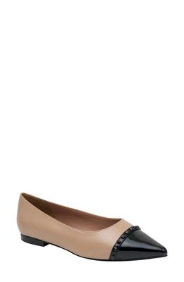 Linea Paolo Niche Pointed Toe Flat in Nude/Black