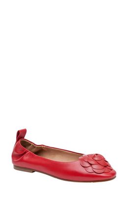 Linea Paolo Nina Ballet Flat in Red