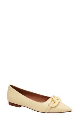 Linea Paolo Nora Pointed Toe Flat in Light Yellow at Nordstrom, Size 13