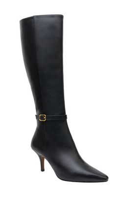 Linea Paolo Parson Tall Boot in Black