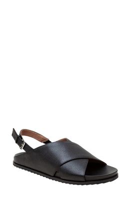 Linea Paolo Raylin Slingback Sandal in Black at Nordstrom, Size 6