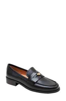 Lisa Vicky Gambit Penny Loafer in Black