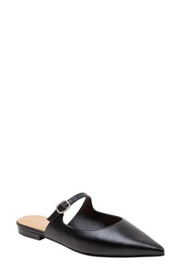 Lisa Vicky Moment Pointed Toe Mule in Black