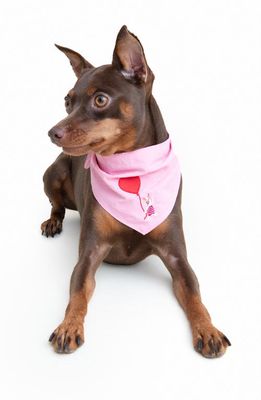 Little Beast x Disney 'Winnie the Pooh' Piglet Embroidered Dog Bandana in Pink