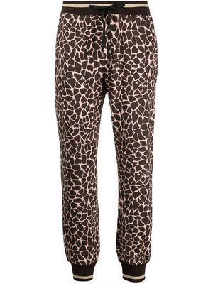 LIU JO giraffe-print elasticated track pants - Brown