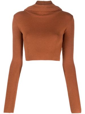 Live The Process Dormer Balaclava cropped top - Brown
