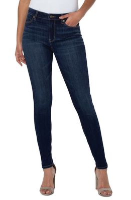 Liverpool Los Angeles Abby High Waist Skinny Jeans in Hoskins