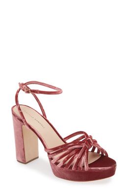 Loeffler Randall Rivka Ankle Strap Platform Sandal in Tea Rose