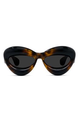 Loewe 55mm Cat Eye Sunglasses in Dark Havana /Smoke