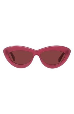 Loewe Curvy Logo 54mm Cat Eye Sunglasses in Cherry