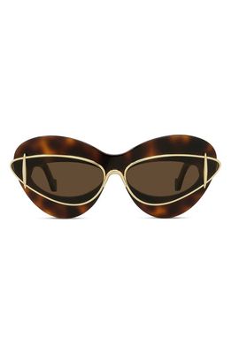 Loewe Double Frame 67mm Oversize Cat Eye Sunglasses in Dark Havana /Brown