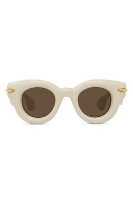 Loewe Inflated Pantos 46mm Round Sunglasses in Ivory /Brown