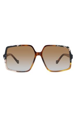 Loewe Thin Acetate 61mm Geometric Sunglasses in Havana /Gradient Brown