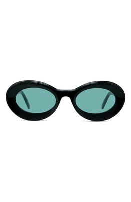 Loewe x Paula's Ibiza Small 50mm Oval Sunglasses in Shiny Black /Blue