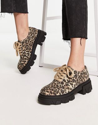 London Rebel chunky canvas lace up shoes in leopard-Multi