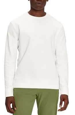 Long Sleeve Organic Cotton Crewneck Sweatshirt in Undyed White