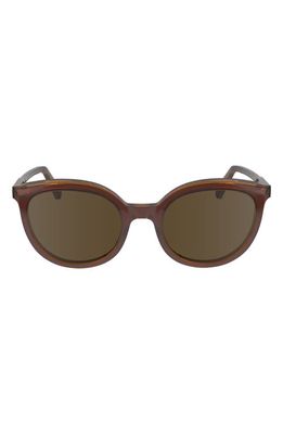 Longchamp 50mm Round Sunglasses in Brown/Caramel 