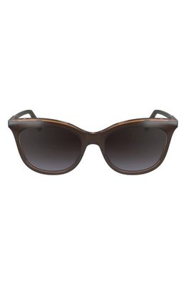 Longchamp 53mm Gradient Cat Eye Sunglasses in Brown/Grey 