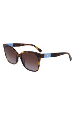 Longchamp 55mm Gradient Sunglasses in Havana/Brown Gradient