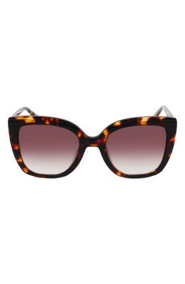Longchamp Le Pliage 53mm Gradient Rectangular Sunglasses in Dark Havana/Brown