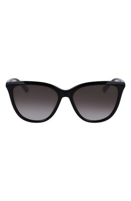 Longchamp Le Pliage 56mm Gradient Tea Cup Sunglasses in Black