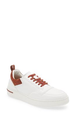 LORO PIANA Newport Walk Waterproof Low Top Sneaker in White/Rust