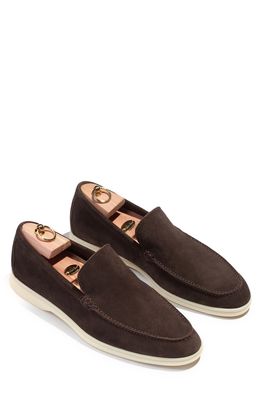 LORO PIANA Summer Walk Suede Moc Toe Loafer in Chocolate