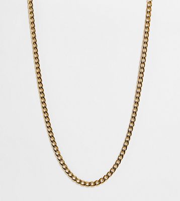 Lost Souls stainless steel 6mm curb neck chain in gold