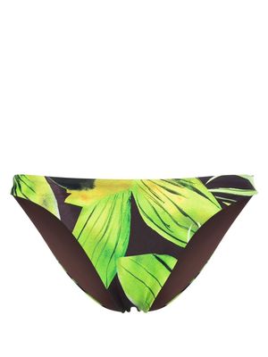 Louisa Ballou leaf-print bikini bottoms - Green