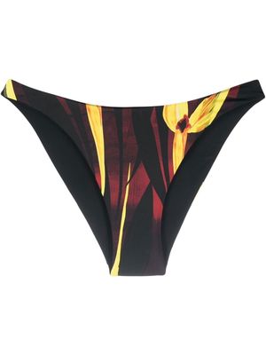 Louisa Ballou orchid-print scoop bikini bottoms - Black