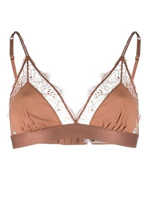 Love Stories sheer floral detailed lace bralette - Brown