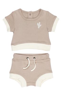 L'Ovedbaby Embroidered Organic Cotton T-Shirt & Shorts Set in Oatmeal Cactus 