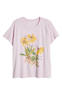 Lucky Brand Change Is Good Graphic T-Shirt in Fairy Tale