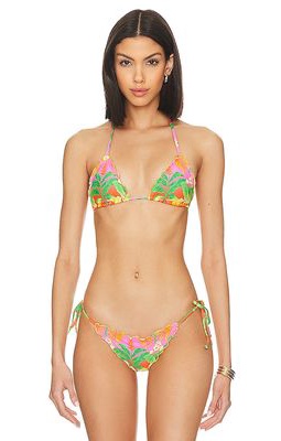 Luli Fama Palm Breeze Wavy Luxe Bikini Top in Green,Pink