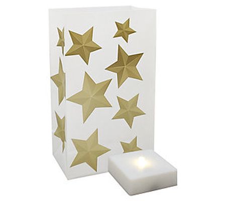 LumaBase Set of 6 Goldtone Star LED Luminarias with Timer