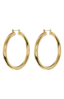 Luv AJ Amalfi Tube Hoop Earrings in Gold