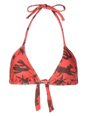 Lygia & Nanny Iasmin halterneck printed bikini top - Brown