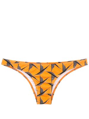 Lygia & Nanny Poipu bird-print bikini bottom - Orange