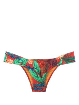 Lygia & Nanny Ritz botanical-print bikini bottoms - Red
