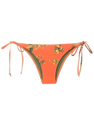 Lygia & Nanny Thai floral-print bikini bottoms - Orange
